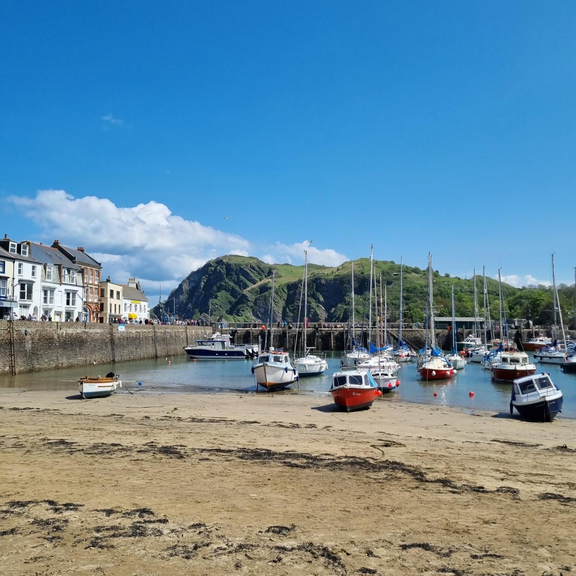 Kittiwake Apartment Ilfracombe Exterior photo